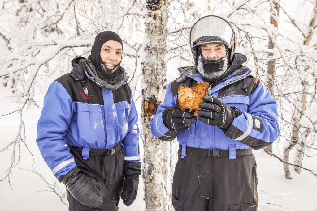 Dr. Weil in Lapland