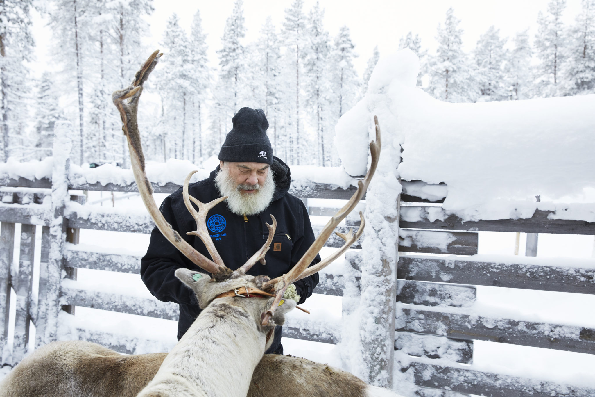 Dr. Weil in Lapland