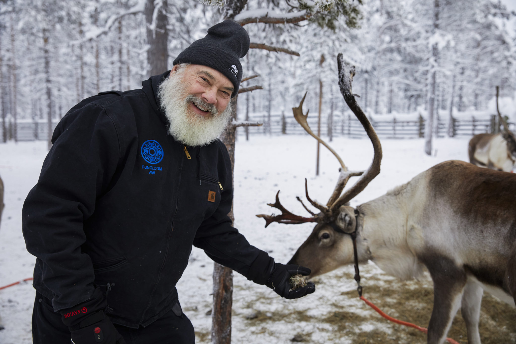 Dr. Weil in Lapland