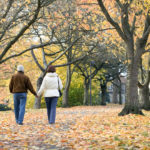 Rear view of loving senior couple holding hands walking in park under tree canopy in autumn.