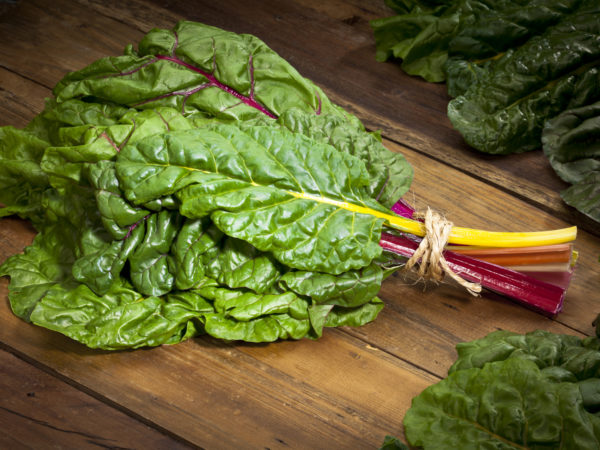 Organic Rainbow Swiss Chard Bunch on Wood Table