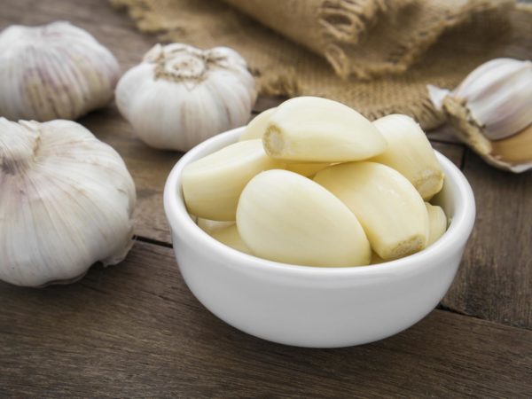 garlic