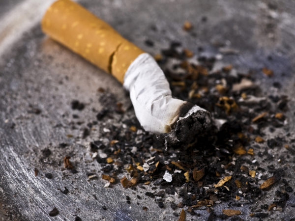 A white and tan colored cigarette butt with a filter extinguished inside a silver colored ashtray. There is ash all around the cigarette butt and the focus is on the end of the cigarette butt.