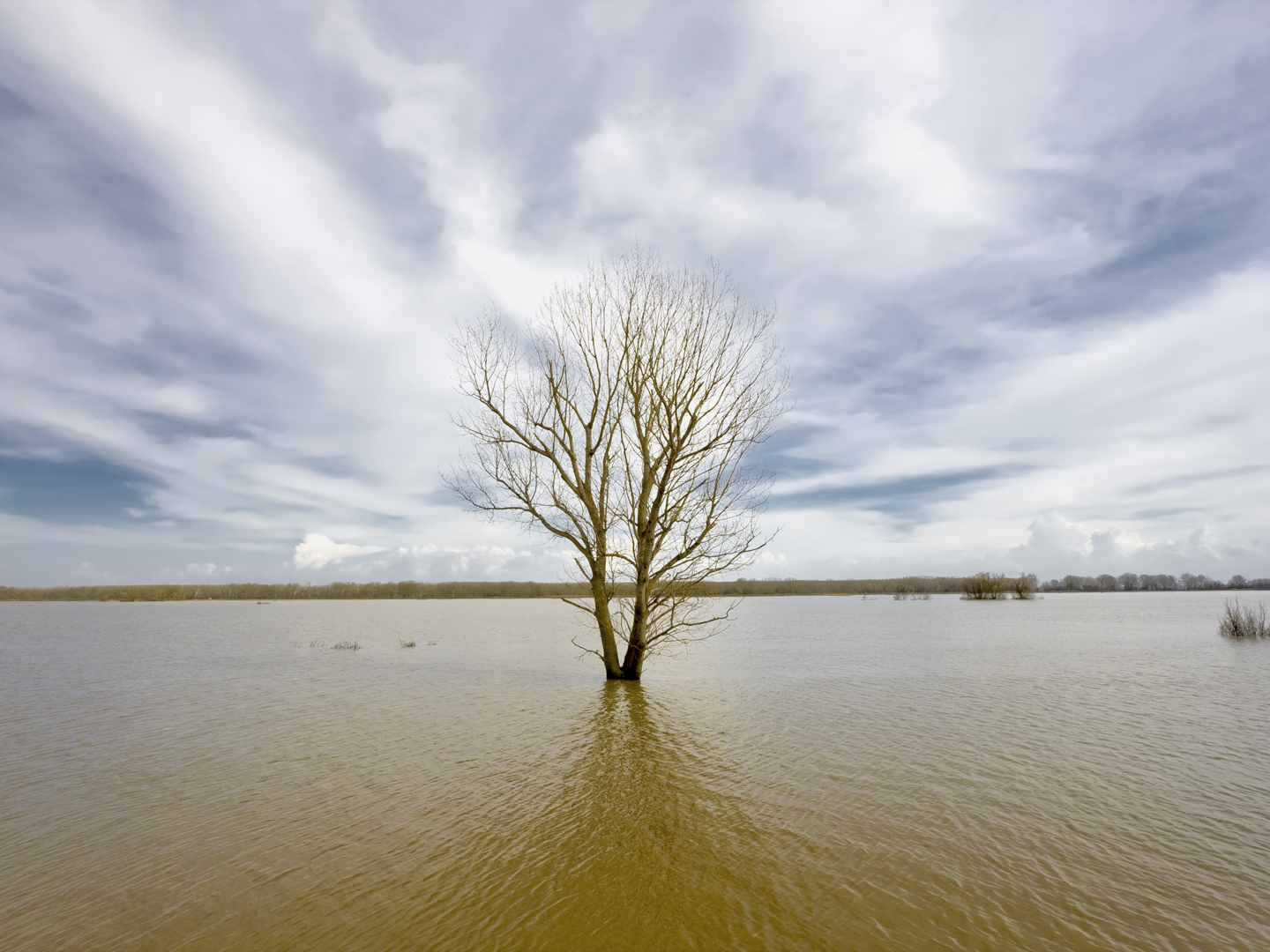 Flooded Evros river - physical border between Greece and Turkey - Vibrant colors.