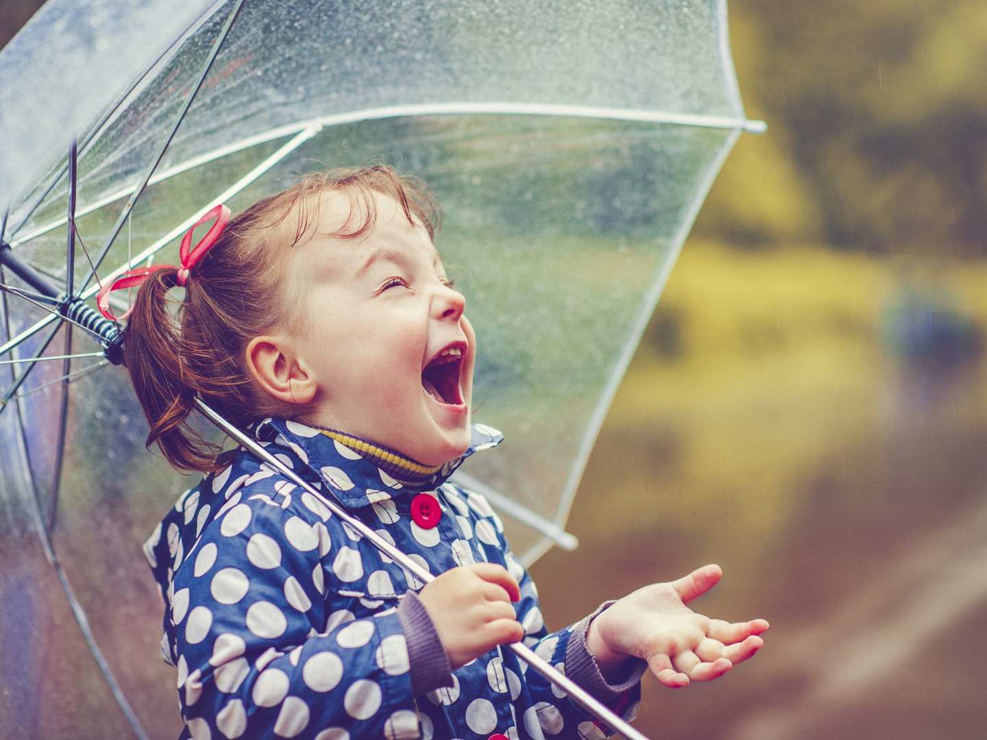 Little girl with umbrella in autumn