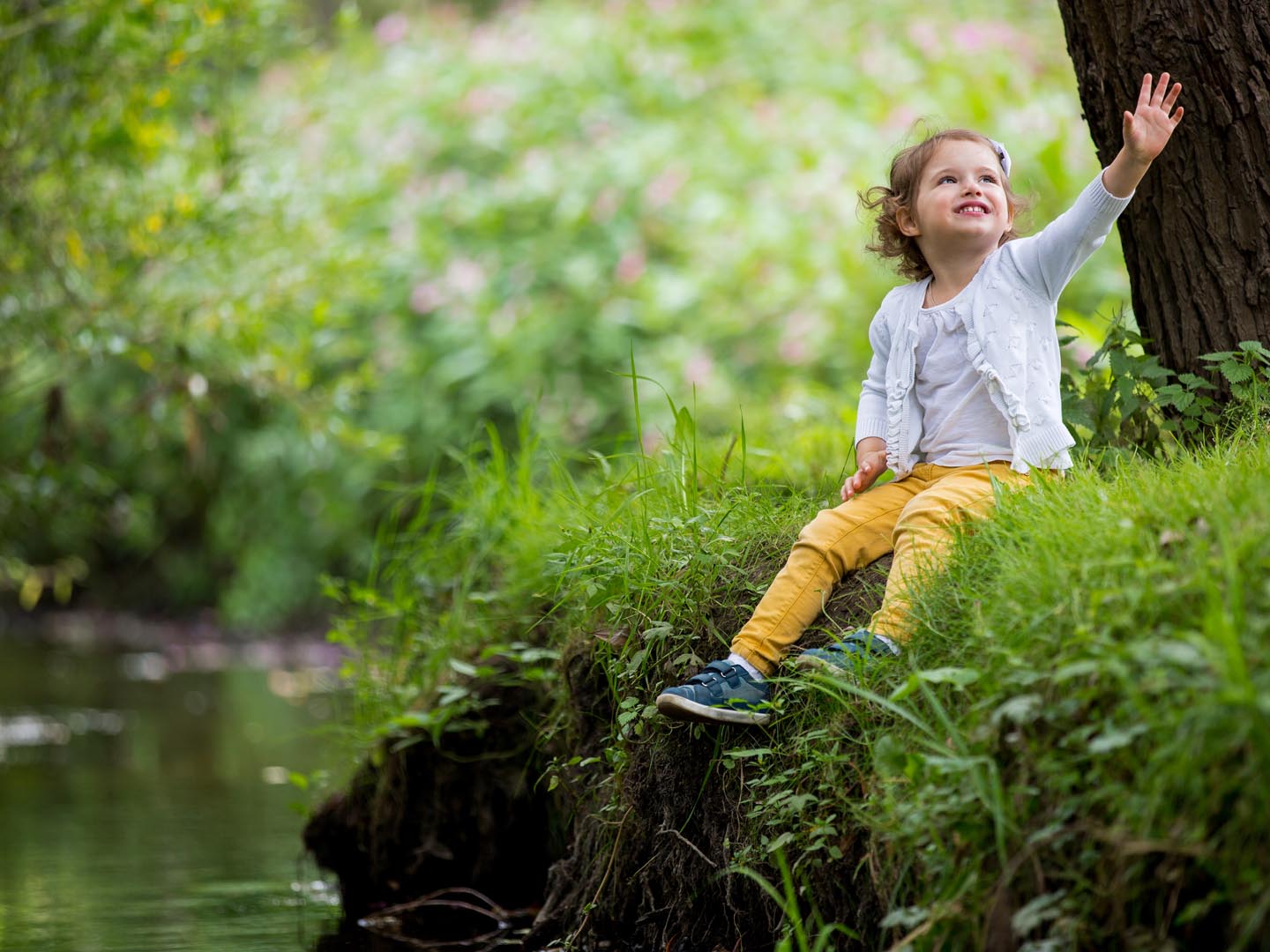 Is Forest Therapy for Real? | Forest Bathing | Andrew Weil, M.D.