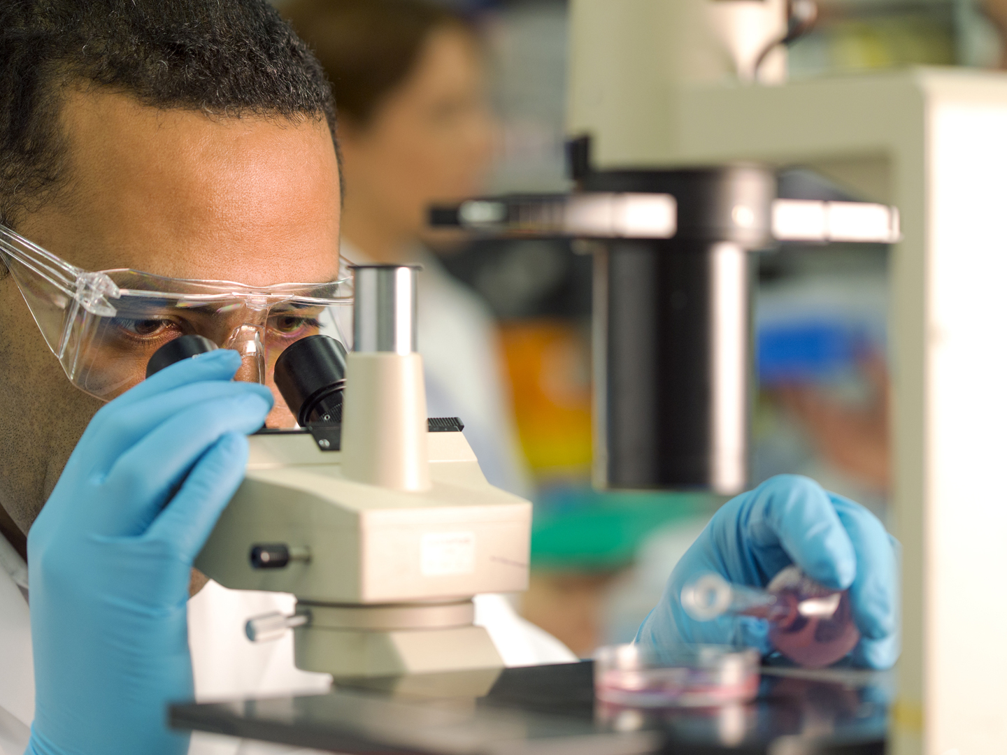 Solution being carefully poured into a petri dish that sits under a micro scope. A medical scientist wearing glasses can be seen concentrating as he pours from the glass flask.  Selective focus.