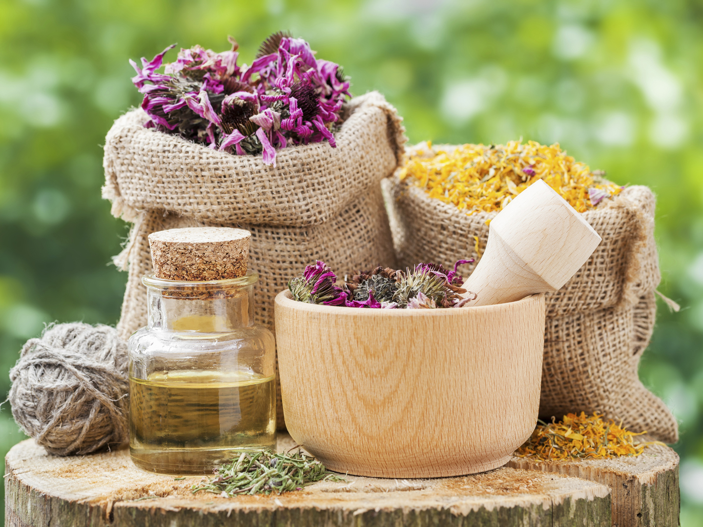 Healing herbs in hessian bags, wooden mortar with coneflowers and essential oil on wooden stump outdoors, herbal medicine.