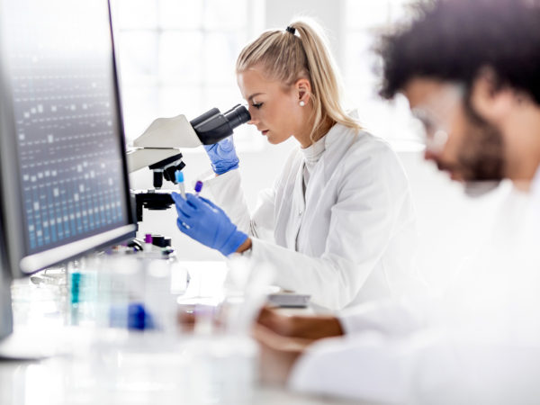 Scientists working in the laboratory