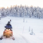 mushroom hunting in lapland