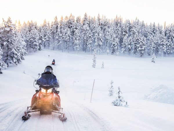 mushroom hunting in lapland