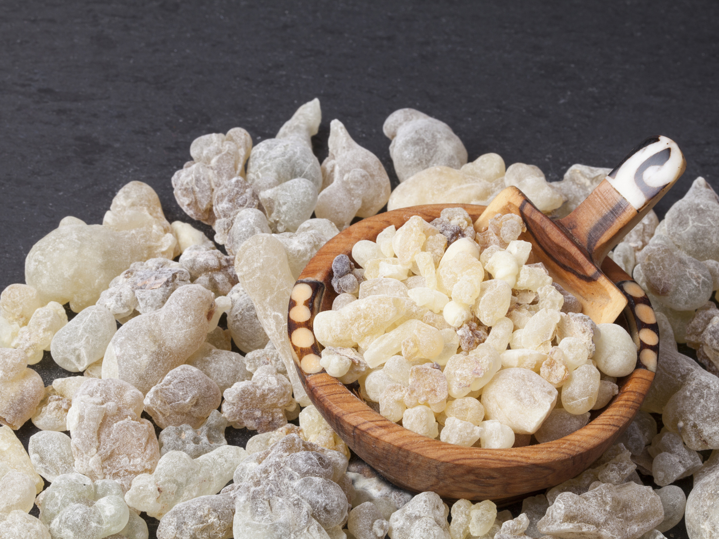 Frankincense burning on a hot coal. Frankincense is an aromatic resin, used for religious rites, incense and perfumes.